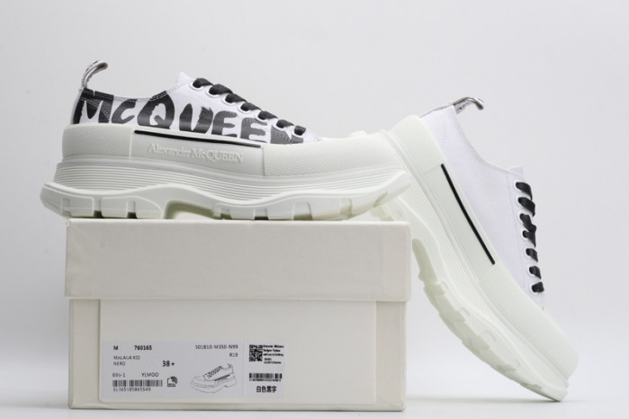 alexander mcqueen e2621
